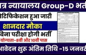 District Court Group D Vacancy 2023-24