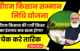 PM Kisan Samman Nidhi 17th Installment date: पीएम किसान की 17वीं किस्त का इंतजार कब खत्म होगा? 8 PM Kisan Samman Nidhi 17th Installment date