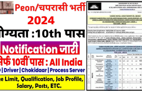 Peon Job Vacancy 2024: 10वीं पास वालो की हुई मौज निकली नई भर्ती, नोटिफिकेशन जारी 1 Peon Job Vacancy 2024: 10वीं पास वालो की हुई मौज निकली नई भर्ती, नोटिफिकेशन जारी