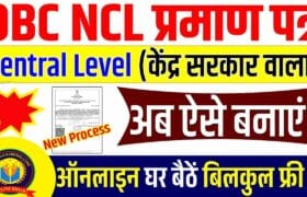OBC NCL Central Level Certificate