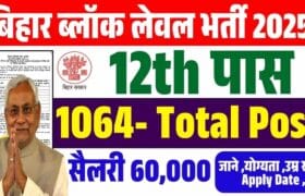 Bihar Block Level New Bharti 2025-बिहार अंचल/ ब्लॉक इंटर पास 1064 पदो भर्ती 2025? 6 Bihar Block Level New Bharti 2025
