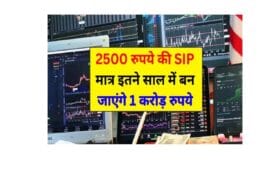 SIP Investment : 15 मार्च 2025 से शुरू करें 2500 रुपये की SIP मात्र इतने साल में बन जाएंगे 1 करोड़ रुपये 12 SIP Investment