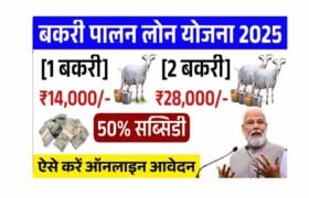 Bakri Palan Business Loan 2025