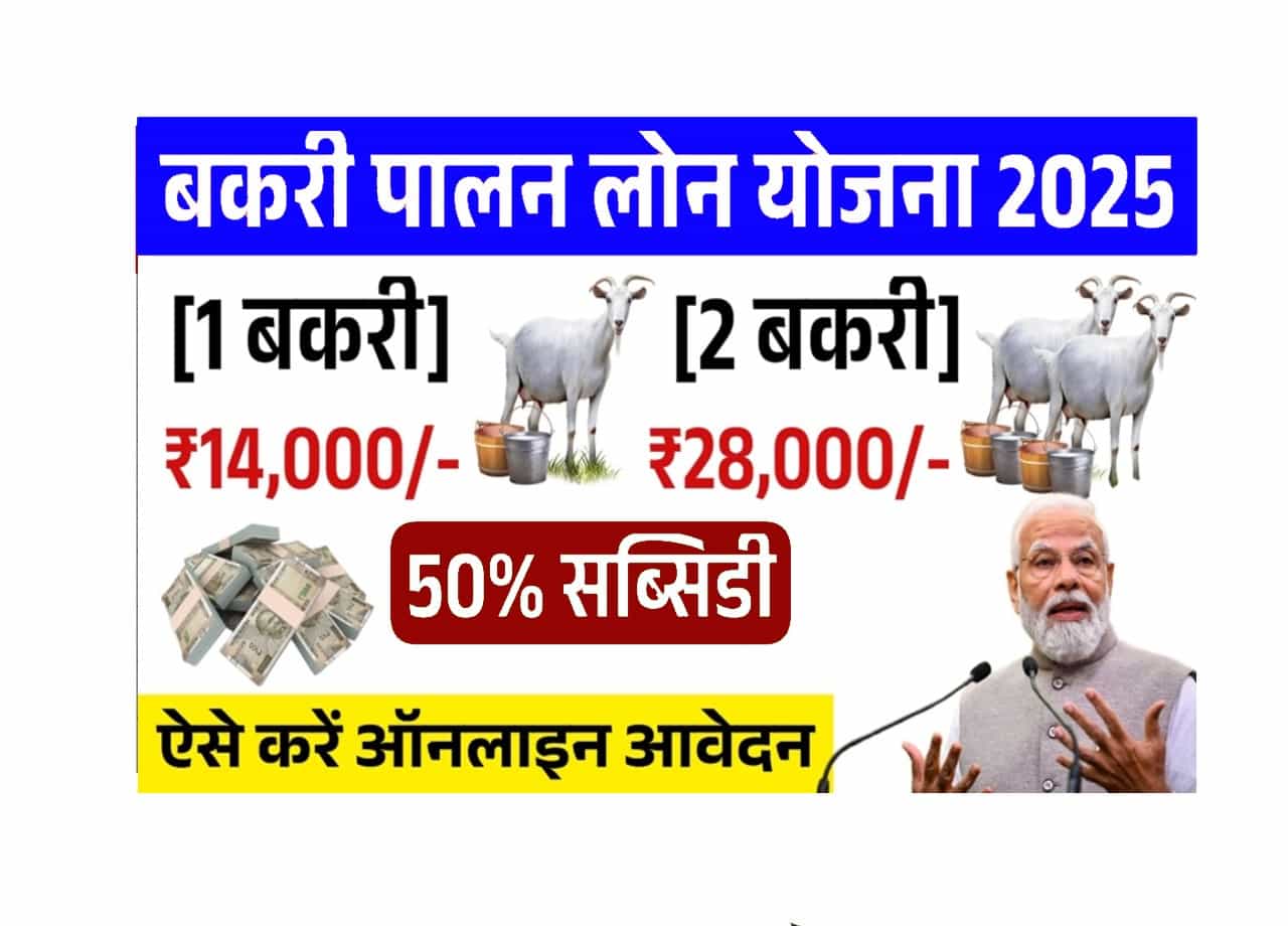 Bakri Palan Business Loan 2025: बकरी पालन बिजनेस लोन के आवेदन फॉर्म भरना शुरू 1 Bakri Palan Business Loan 2025