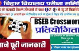 Bihar Board BSEB Crossword Competition 2025: ज्ञान, गति और सम्मान का सुनहरा अवसर! जानें पूरी प्रक्रिया, पुरस्कार और रजिस्ट्रेशन का तरीका 3 Bihar Board BSEB Crossword Competition 2025