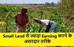 Small Land से ज्यादा Earning – 5 असरदार खेती के तरीके 9 Small Land से ज्यादा Earning – 5 असरदार खेती के तरीके