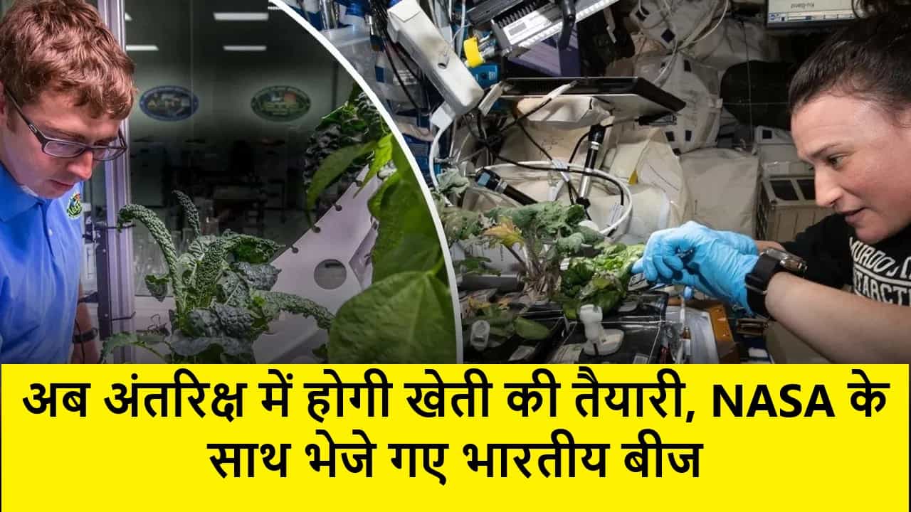 अब अंतरिक्ष में खेती की तैयारी, NASA के साथ भेजे गए भारतीय बीज 1 अब अंतरिक्ष में होगी खेती की तैयारी, NASA के साथ भेजे गए भारतीय बीज