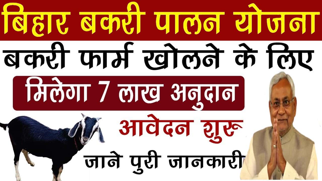 Bihar Bakri Farm Yojana 2025 : बकरी पालन पर सरकार दे रही है ₹7 लाख अनुदान, जाने क्या है योजना और आवेदन प्रक्रिया? 1 Bihar Bakri Farm Yojana 2025