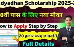 Vidyadhan Scholarship 2025