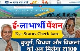 Bihar Pension Kyc Status Kaise Check kare