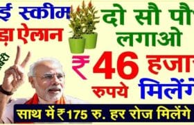 Bihar Manrega New Scheme: लाभार्थी की जमीन पर लगाए जायेगें 200 पेड़ और परिवार के एक सदस्य को वन पोषक की मिलेगी नौकरी, जाने क्या है पूरी योजना? 8 Bihar Manrega New Scheme