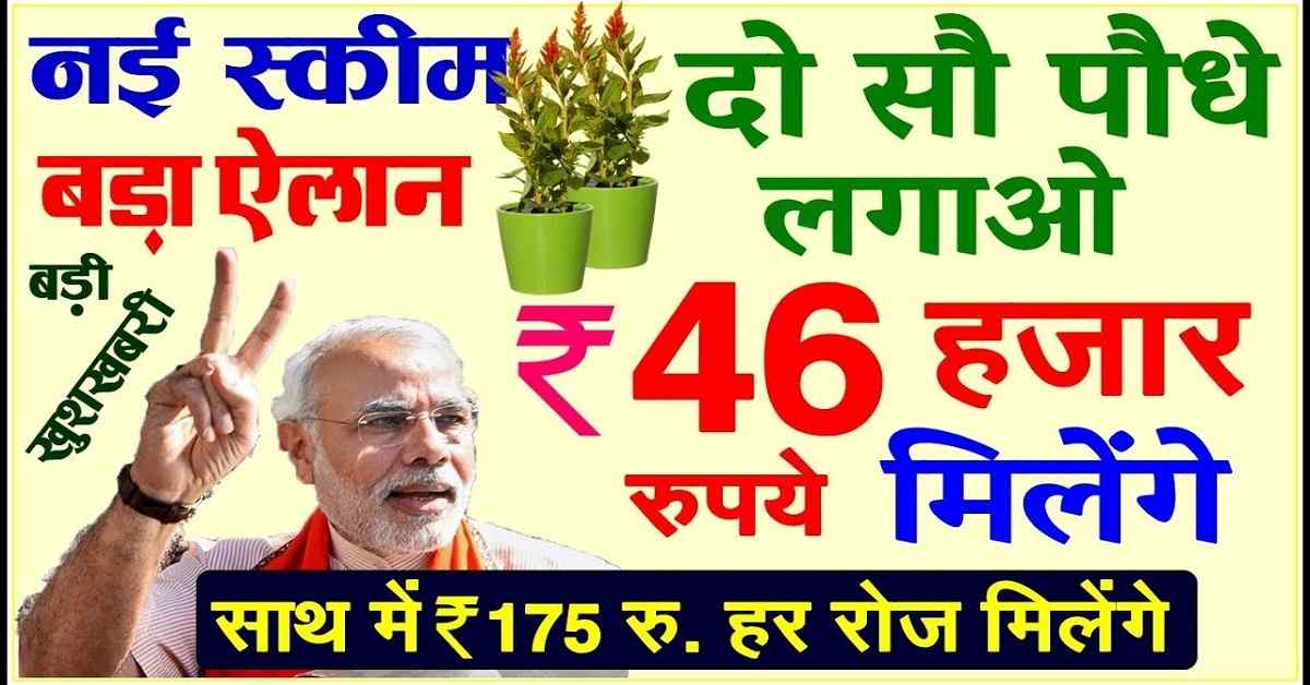 Bihar Manrega New Scheme: लाभार्थी की जमीन पर लगाए जायेगें 200 पेड़ और परिवार के एक सदस्य को वन पोषक की मिलेगी नौकरी, जाने क्या है पूरी योजना? 1 Bihar Manrega New Scheme
