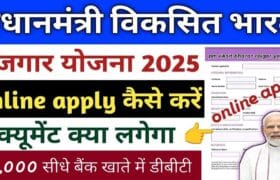 PM Viksit Bharat Rojgar Yojana 2025: युवाओं को पहली नौकरी पर ₹15,000 की आर्थिक मदद, ऐसे करें आवेदन और जानें योजना के फायदे 6 PM Viksit Bharat Rojgar Yojana 2025