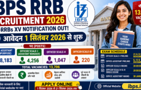 IBPS RRB Recruitment 2026: 13,706 Gramin Bank Vacancies Open, Check Eligibility, Salary, Exam Pattern & Apply Online 15 IBPS RRB Recruitment 2026: 13,706 Gramin Bank Vacancies Open, Check Eligibility, Salary, Exam Pattern & Apply Online