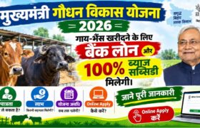 Mukhyamantri Gaudhan Vikas Yojana 2026: गाय-भैंस पर Loan, 100% ब्याज सब्सिडी