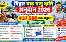 bihar Badh Pashu Chhati Anudan 2026